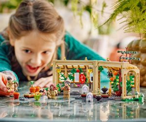 LEGO® Harry Potter Замъкът Хогуортс Час по билкология 76445 