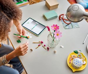 LEGO® Botanicals Цветя космос 11514 